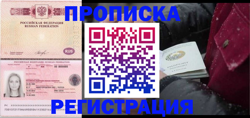 прописка для школы в Электростали
